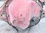 Immagine 15