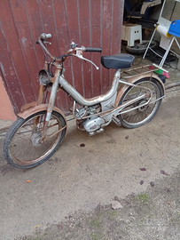 Oscar mister college