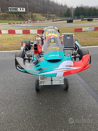 GO KART COMPLETO FORMULA K TM KZ 10B
