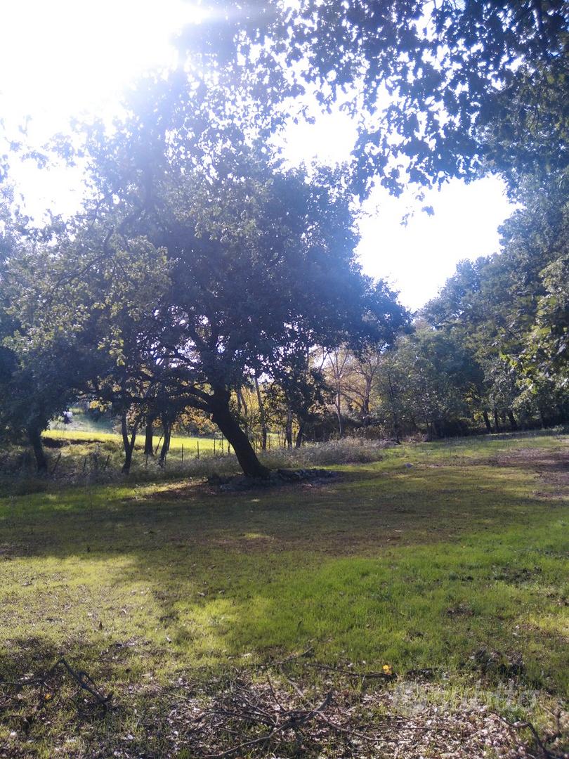 Terreno via colli - Vista 2
