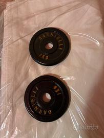 Dischi 1 Kg