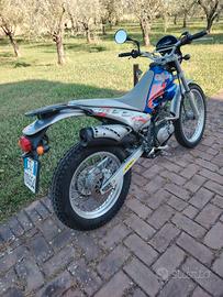 beta alp 200