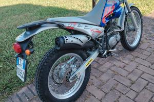 beta alp 200
