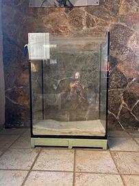 Acquario in vetro a sviluppo verticale