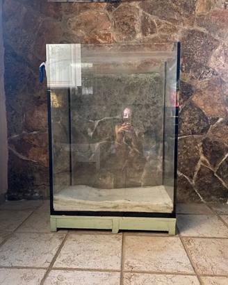 Acquario in vetro a sviluppo verticale