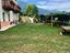 Immagine 24