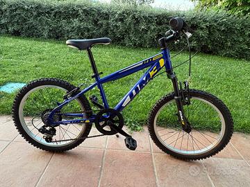 Mtb bambino