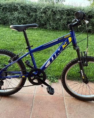 Mtb bambino