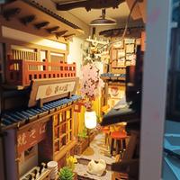 montaggio professionale kit book nook