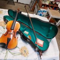 violino