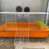 Gabbietta per conigli