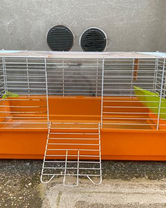 Gabbietta per conigli