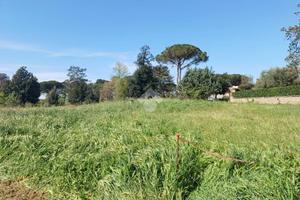 TER. RESIDENZIALE A NEPI