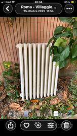 Termosifone in ghisa