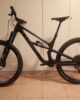 MTB Canyon spectral 29 tg. L 
