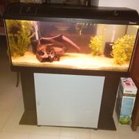 Acquario Askoll Ambiente 200 lt con mobile.
