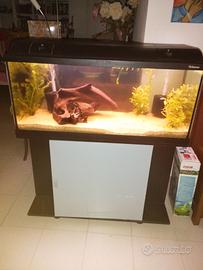 Acquario Askoll Ambiente 200 lt con mobile.