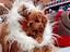 Immagine 24