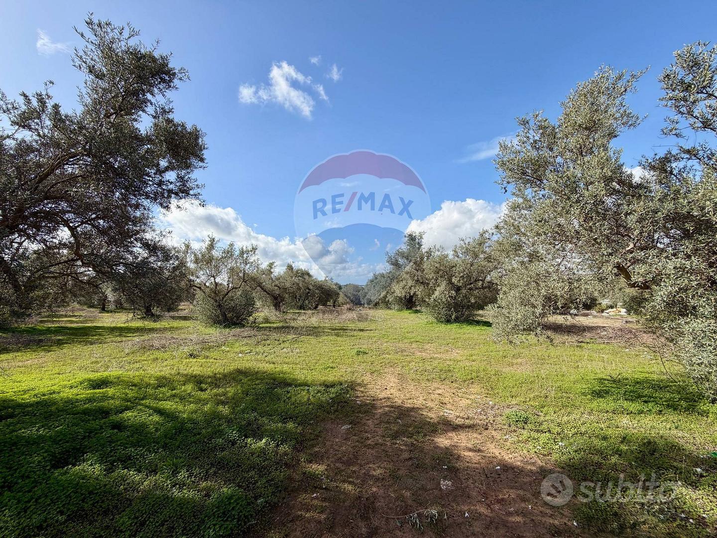 Terreno - Chiaramonte Gulfi - More