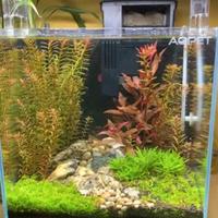 Acquario 30 litri 