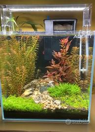 Acquario 30 litri 