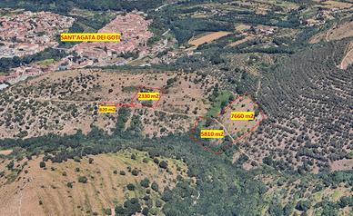 Terreni agricoli qualità "Uliveto"