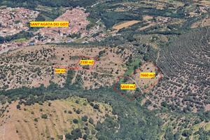 Terreni agricoli qualità "Uliveto"