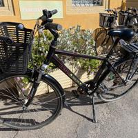 E-bike Olympia Energo