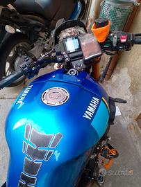 Yamaha XSR 900 - 2024