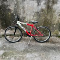 Bici MTB Frejus