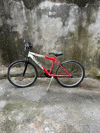 Bici MTB Frejus