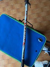 Canna da pesca Colmic Amnesia 4.20m 150gr