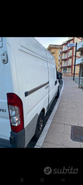 Fiat ducato frigo