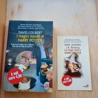Libro: I magici mondi di Harry Potter