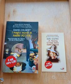 Libro: I magici mondi di Harry Potter