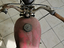 Immagine 5