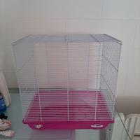 gabbietta per uccelli