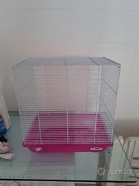 gabbietta per uccelli