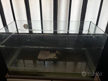 Acquario con isola per tartarughe