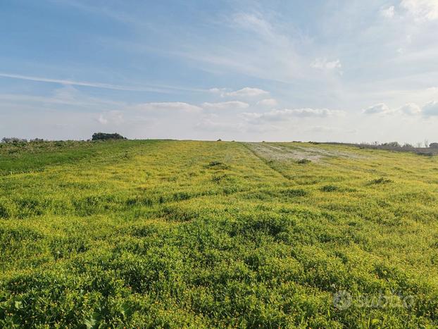 Terreno Agricolo di 96 Are vicino Brindisi