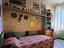 Immagine 15