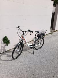 Bicicletta elettrica unisex