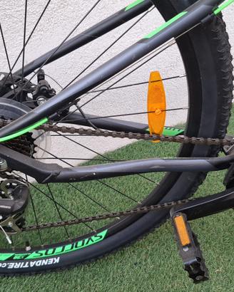 Bici Donna Scott Alloy 6061 con marce