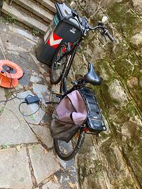 Bici elettrica