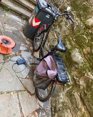 Bici elettrica