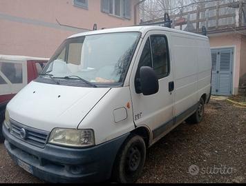 Fiat ducato