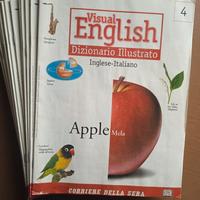 Fascicoli sfusi:




Visual English - dizionario i