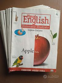 Fascicoli sfusi:




Visual English - dizionario i