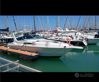 Sea ray 330 sundacer