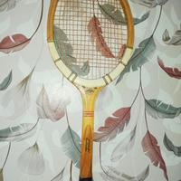 Racchetta Dunlop maxplay antica